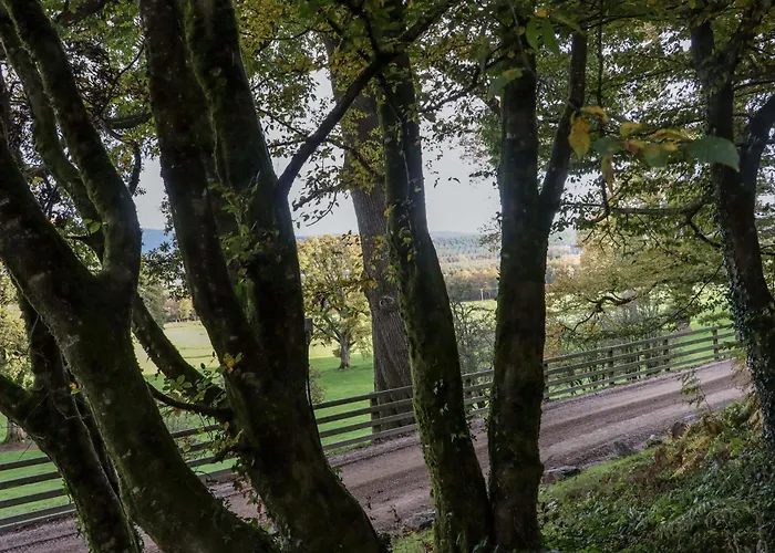 Ferienhaus Ballybeg Pod 7 Arklow